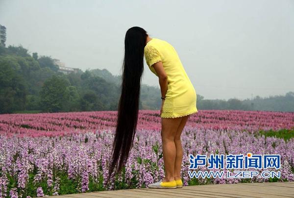 泸州长发美女很打眼 蓄发11年发长156厘米(图) 